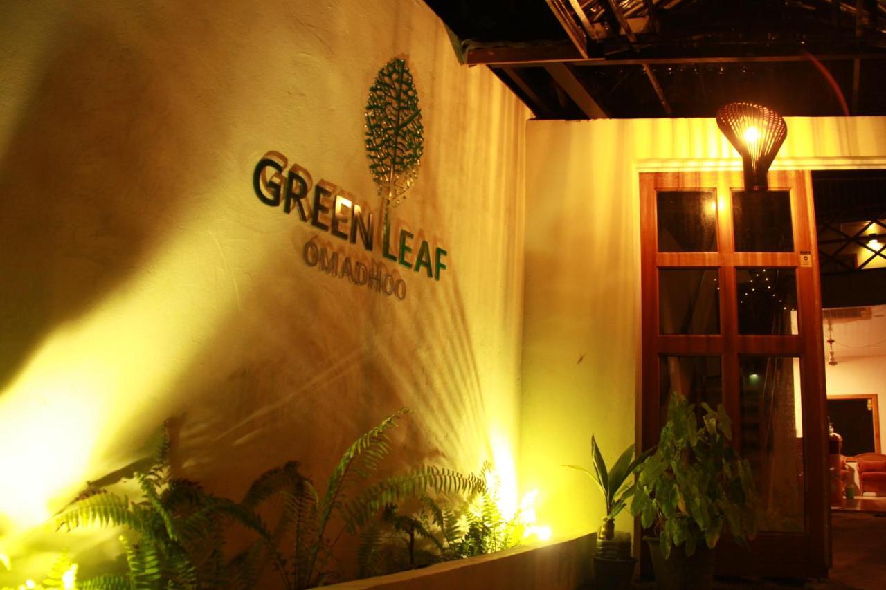 Green Leaf Guest House - Omadhoo Kültér fotó