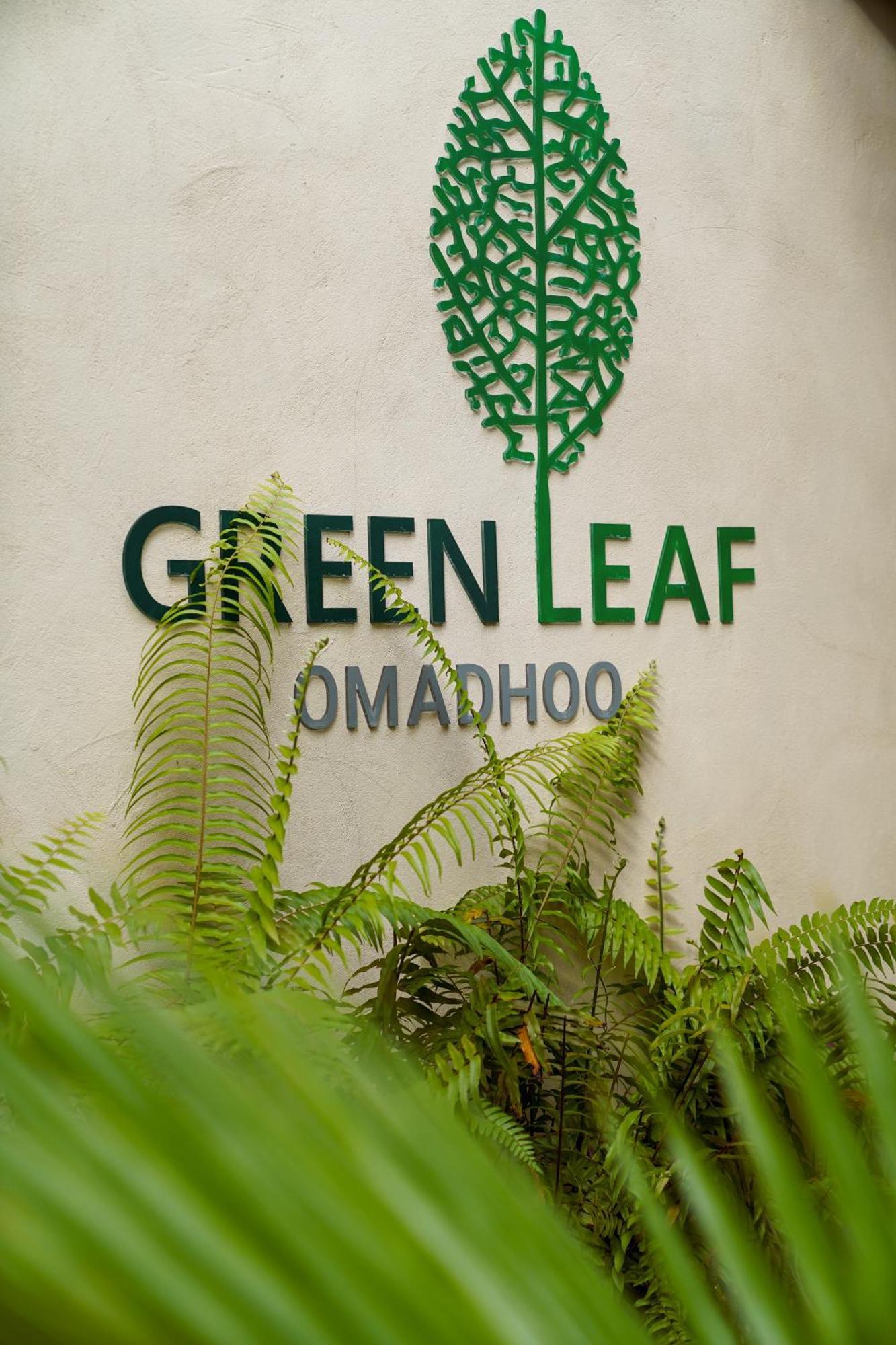 Green Leaf Guest House - Omadhoo Kültér fotó
